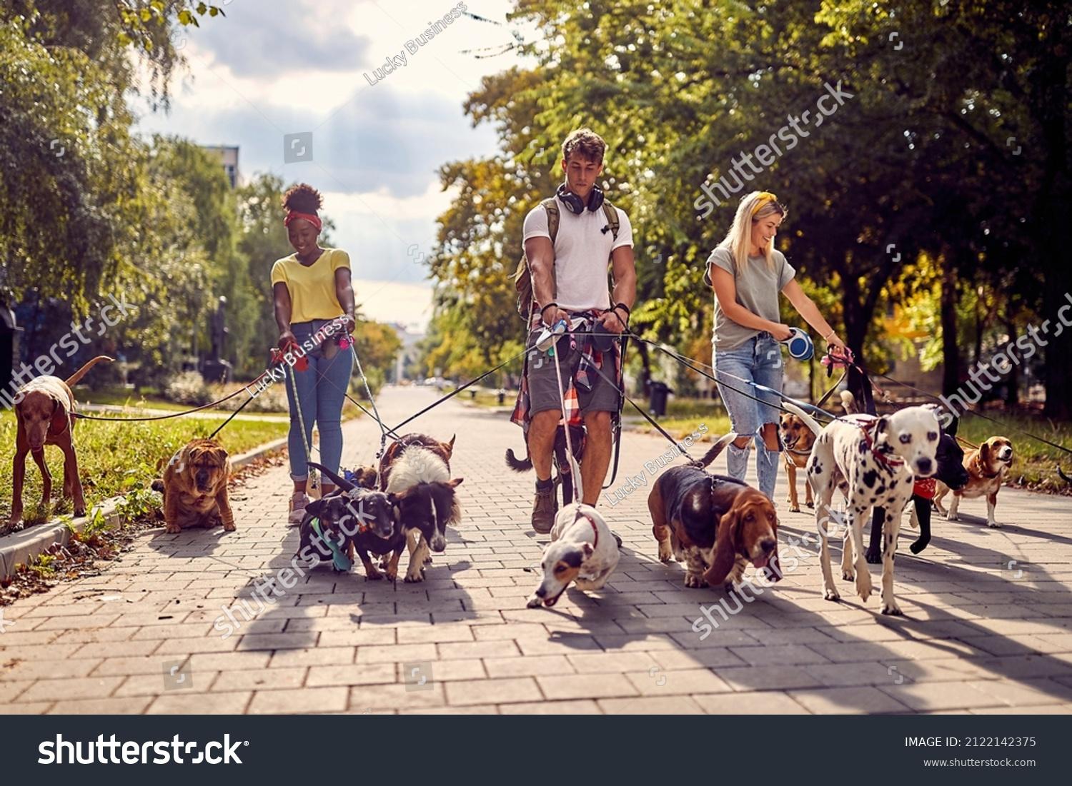 Host a Pet - Naslovna fotografija galerije oglasa